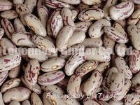 Light Speckled Kidney Beans( Long Shape)