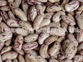 Light Speckled Kidney Beans( Long Shape) 1