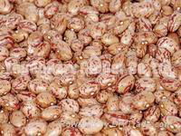 Light Speckled Kidney Beans( Round Shape)