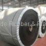 Polyester Conveyor Belt