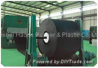 Heavy Duty Conveyor Belt