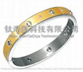 Titanium Bangle-Lover Collection 4