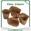 Coco Liners 4