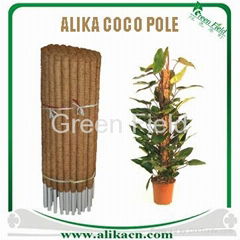 Coco Pole-Plant Support