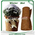 Winter Mat 1