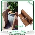 Winter Mat 2