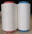 B Grade Recycled Polyester Ring Spun Yarn  5