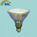 PAR 38 LED spotlighting bulb tubes