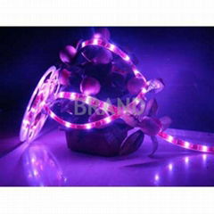 3528 SMD sticker waterpoof LED strip flexible led bulb tubes spotlighting