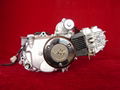  Engine 100cc