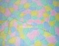 coral fleece fabric 1