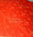 coral fleece fabric brushed 1