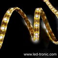waterproof flexible led light strip with SMD5050 leds 2