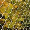 chain link fence 2