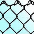 chain link fence 3