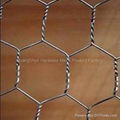 hexagonal wire mesh