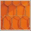 hexagonal wire netting