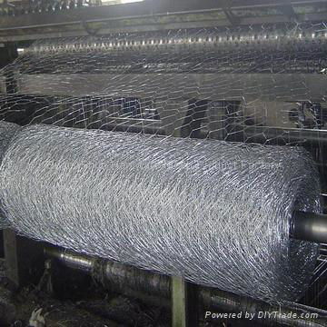 hexagonal wire netting 4