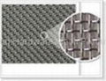 Stainless Steel Wire Mesh 1