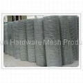 Electric Welding Mesh