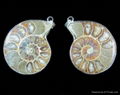 ammonite fossil pendants