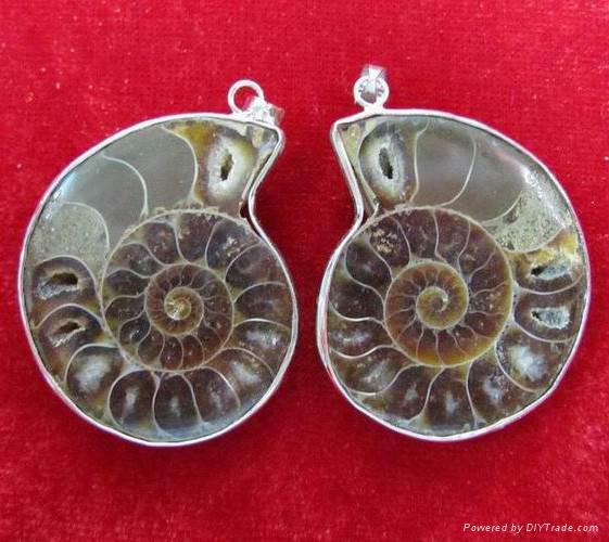 ammonite fossil pendants 2