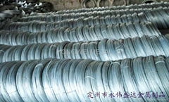 Galvanized Iron Wire