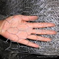 HEXAGONAL WIRE MESH 3