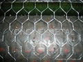 HEXAGONAL WIRE MESH 4