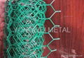 HEXAGONAL WIRE MESH 5