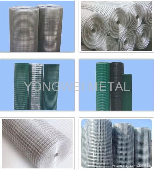 WELDED WIRE MESH 5