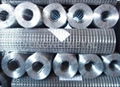 GALVANIZED WIRE MESH