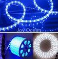 Christmas decoration LED rope light 1