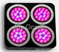 LED Grow plant Light