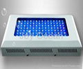 Led Aquarium Light 3