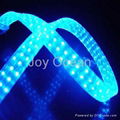 Christmas decoration LED rope light 3