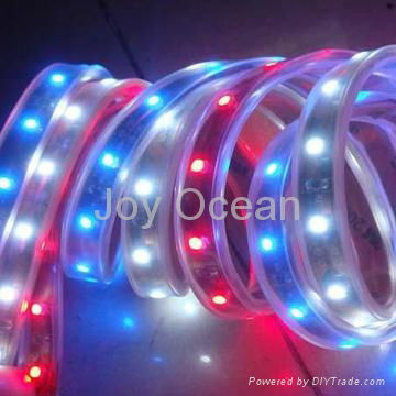 Christmas decoration SMD flexible strip light 4