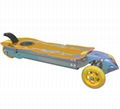 Electric skateboard