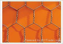 hexagonal wire mesh