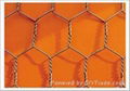 hexagonal wire mesh