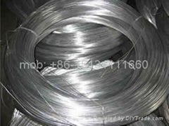 galvanized wire