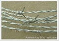 barbed wire 1