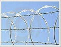 razor wire mesh