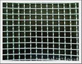 square wire mesh 1