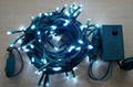 LED string light  5