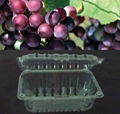 grape box fruit clamshell