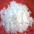 Caustic Soda  1