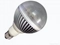 LED Global Bulbs  4