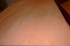 plywood skype fulin0910