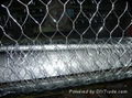 Gabion mesh 1